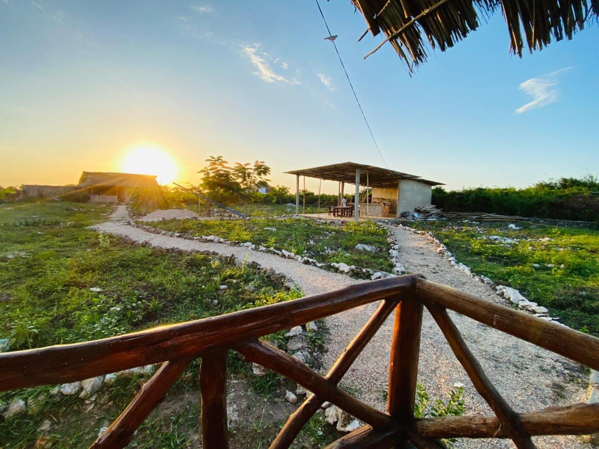 Bed and Breakfast Habibis Bottle House Nungwi Exterior foto