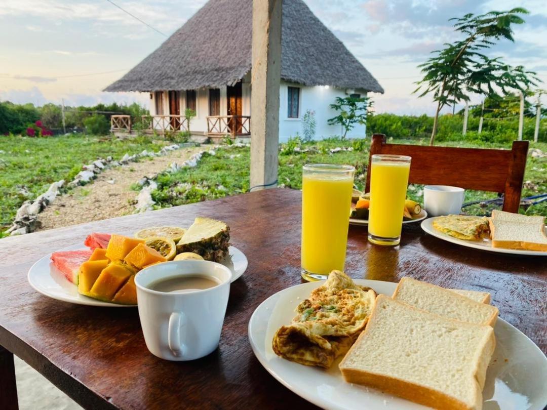 Bed and Breakfast Habibis Bottle House Nungwi Exterior foto